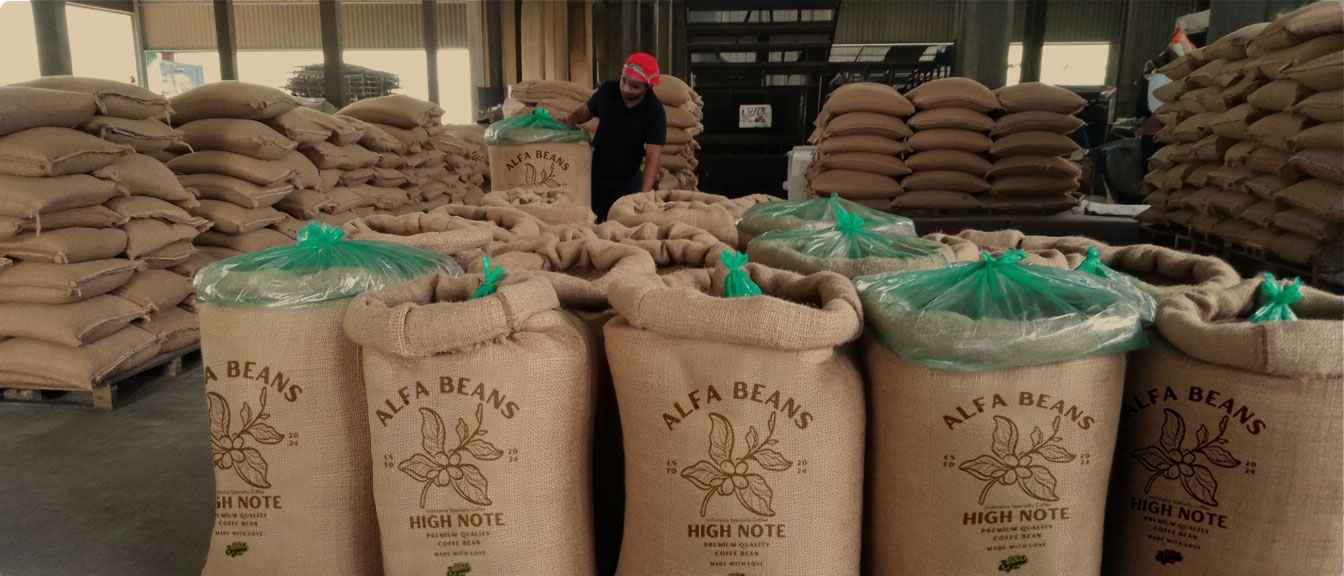 AlfaBean coffee sacks
